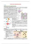 Thyroid and thermoregulation