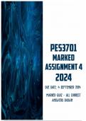 PES3701 Assignment 4 2024 | Due 4 September 2024