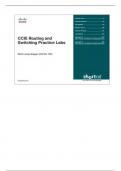 CCIE switching and routing practise lab