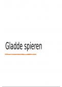 FA-BA106 presentatie gladde spieren 