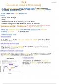 PCR Y ELECTROFORESIS BIOLOGIA MOLECULAR