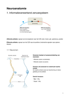 Anatomie 3 - Neuroanatomie (T. Menovsky)