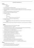 GSCE English Literature Lord of the Flies Quiz from a Grade 9 student