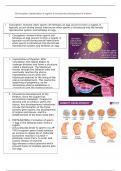 Obstetrics and Gynaecology