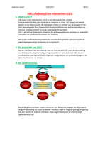 Samenvatting orthopedagogische methodes en interventies (OMI)