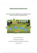 COM Sensemaking in Organizations Final Essay Grade 9,5