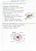 AQA Biology Topic One - Cell Biology notes