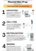 Plasmid Miniprep Guide (QIAprep)