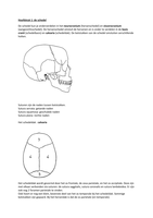 Anatomie tentamen 1, jaar 1