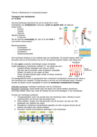 Thema 4 tm 6 Cel tot Molecuul