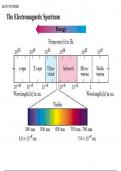 Biochemical tests