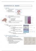 Samenvatting H18 medische biochemie