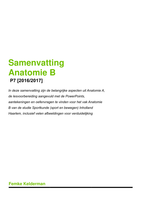 Anatomie B - samenvatting + oefenmateriaal