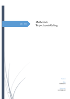 Methodiek Trajectplan