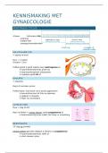 Gynaecologie; Bundel samenvattingen