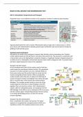 Summary cell biology part of From Molecule to Mind course in master Neurosciences VU