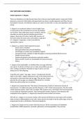 Summary Materials and Methods part of From Molecule to Mind of Master Neurosciences VU