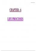 Life Processes Class 10 SCIENCE 2024 Notes