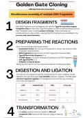 Golden Gate Cloning Guide