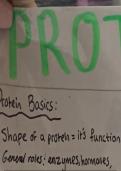 Biological Molecules Summary: Proteins (structure and function)