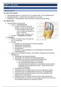 Samenvatting Knie -  Musculoskeletale kinesitherapie 2: klinisch onderzoek onderste extremiteit (incl. observatiestage) (1221GENRVK)