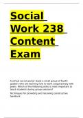 Social Work 238 Content Exam