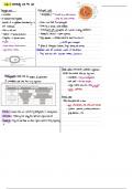 Hunter College -BIOL 100  Sheppard Lahiji: Chapter 2 : Chemical context of life 