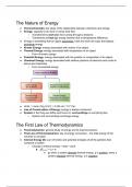 CHEM 130 Chapter 9: Thermochemistry