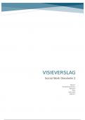 Visieverslag social work