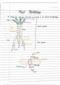 PLANT MORPHOLOGY CLASS 11TH HANDWRITTEN NOTES FOR NEET