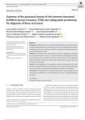 Anatomy of the paranasal sinuses of the common marmoset  (Callithrix jacchus Linnaeus, 1758) and radiographic positioning  for diagnosis of these structures