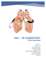 Casestudy K&I (Cijfer 10)