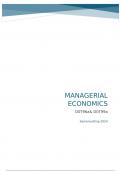 Samenvatting -  Managerial Economics (D0T96A), 14/20 in eerste zit