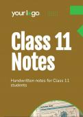 class 11 best handwritten notes