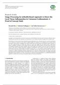 Image Processing for mHealth-Based Approach to Detect the Local Tissue Inflammation in Cutaneous Leishmaniasis: A Proof of Concept Study