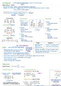 IB Biology Topic 2.3 Carbs and Lipids Notes