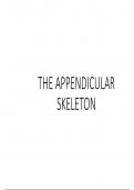 THE APPENDICULAR SKELETON