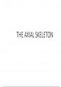 THE AXIAL SKELETON