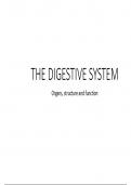 THE DIGESTIVE SYSTEM