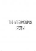 THE INTEGUMENTARY SYSTEM