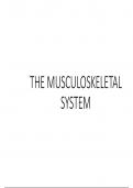 THE MUSCULOSKELETAL SYSTEM 