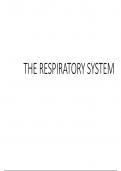 THE RESPIRATORY SYSTEM