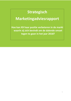 Strategisch marketing advies rapport scriptie HBO commerciele economie