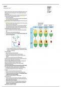 Lecture Notes 1-7 for Developmental Biology course (BioD104) at UC Irvine