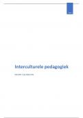 Samenvatting: interculturele pedagogiek 