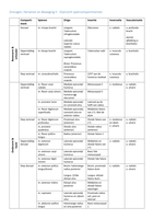 Overzicht spiercompartimenten - Zintuigen, Hersenen en Beweging II (ZHB II)