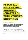 PSYCH 210 - MALE SEXUAL ANATOMY (CHAPTER 5) WITH VERIFIED SOLUTIONS.