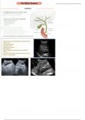 The Gallbladder & Biliary Tree 