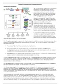 Ubiquitin Proteasomal System 