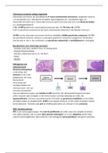 College colorectaal carcinoom